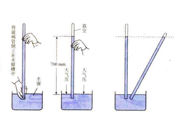 自吸泵长度(图1)